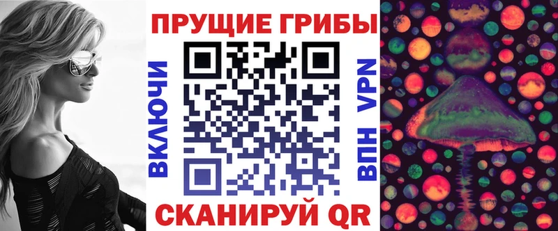 что такое Камень-на-Оби Галлюциногенные грибы ЛСД